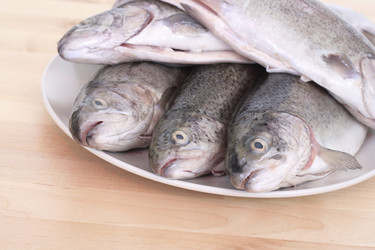 Similar image 8017095