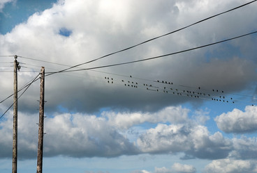 Similar image 8017096