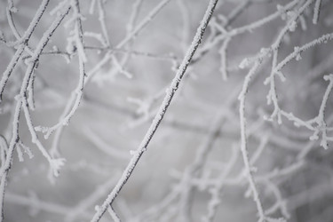 Similar image 8017100