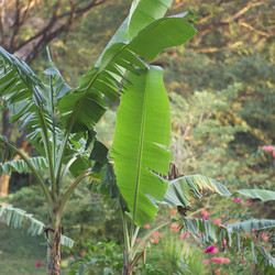 Similar image 8017104