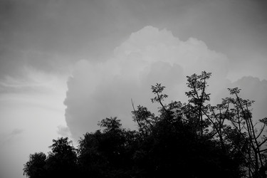 Similar image 8017123