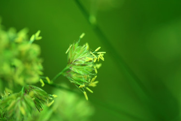 Similar image 8017142