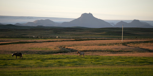 Similar image 8017143