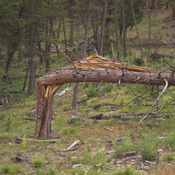 Similar image 8017149