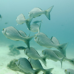 Similar image 8017154