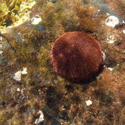 Similar image 8017155