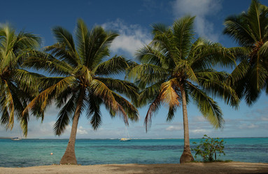 Similar image 8017164