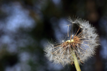 Similar image 8017165