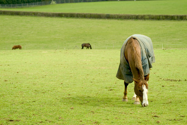 Similar image 8017174