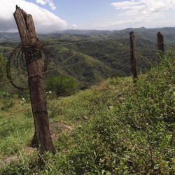 Similar image 8017180