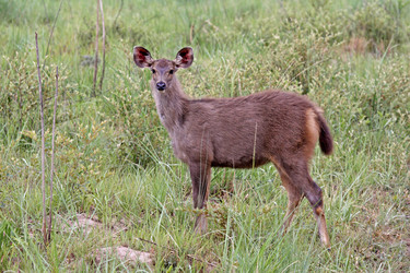 Similar image 8017181