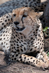 Similar image 8017185