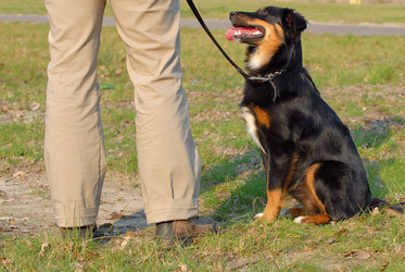 Similar image 8017186