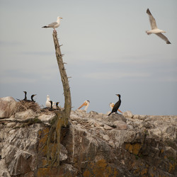 Similar image 8017190