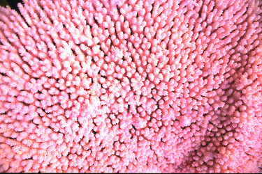 Similar image 8017193