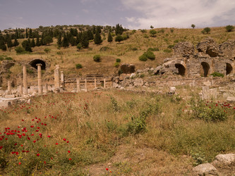 Similar image 8017200