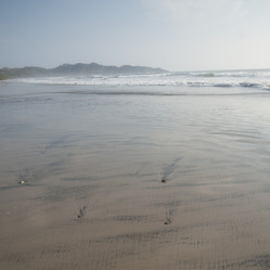 Similar image 8017203