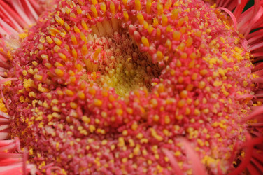 Similar image 8017220