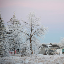 Similar image 8017223