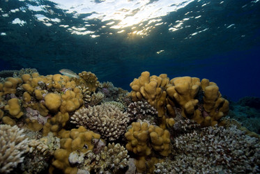 Similar image 8017238