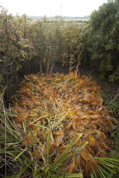 Similar image 8017239