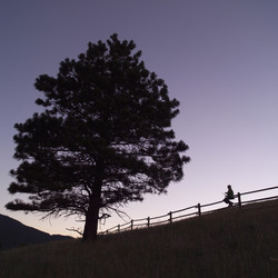 Similar image 8017246