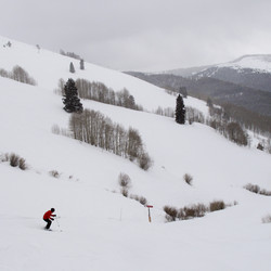 Similar image 8017251