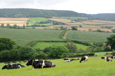 Similar image 8017256