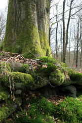 Similar image 8017278