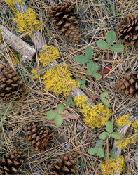 Similar image 8017279