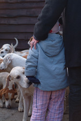 Similar image 8017283