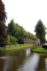 Similar image 8017289