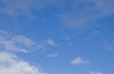 Similar image 8017290