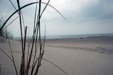 Similar image 8017299