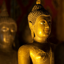 Similar image 8017300