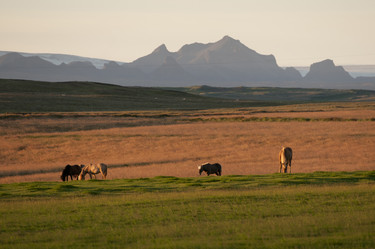 Similar image 8017301