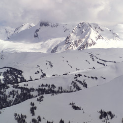 Similar image 8017307