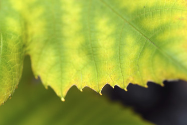 Similar image 8017311