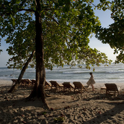 Similar image 8017313