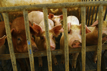 Similar image 8017314