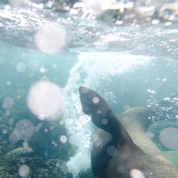 Similar image 8017319