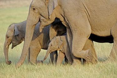 Similar image 8017323