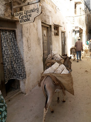 Similar image 8017325