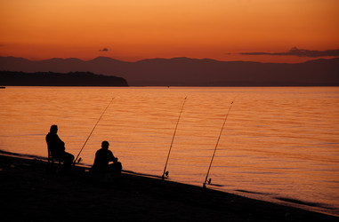 Similar image 8017326