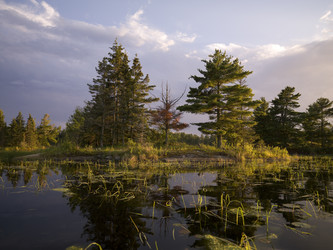 Similar image 8017330