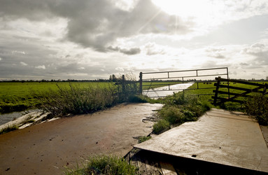 Similar image 8017335