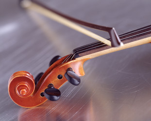 Similar image 8017345