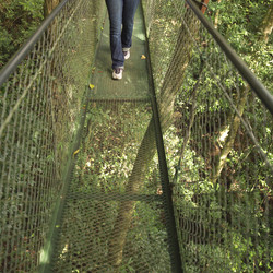 Similar image 8017346