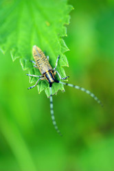 Similar image 8017348