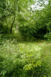 Similar image 8017353